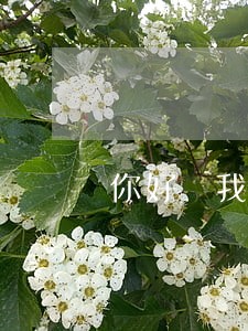 你好 我网贷逾期快一个月了 你好 我网贷逾期快一个月了